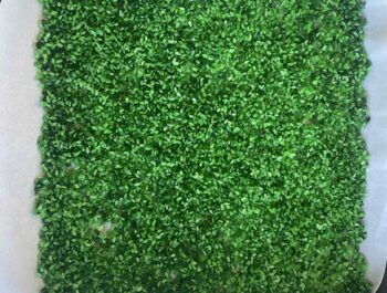 🎨 How to Dye Pasta for Sensory Activities with Preschoolers