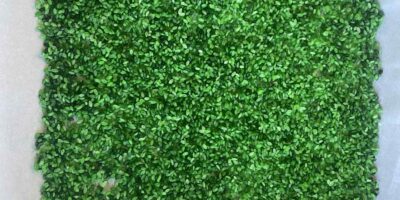 🎨 How to Dye Pasta for Sensory Activities with Preschoolers