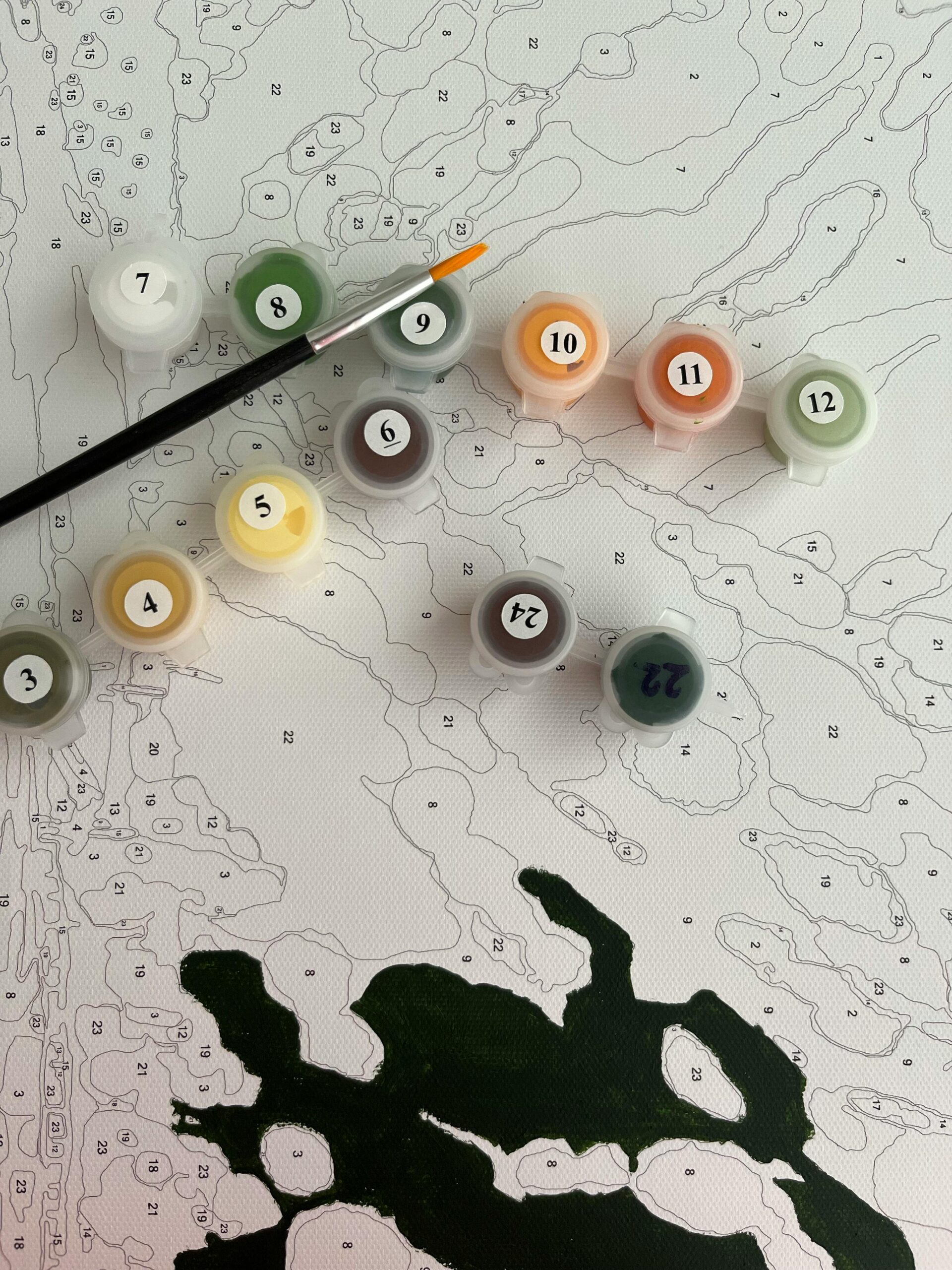 Color by numbers