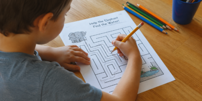 Animal Maze Worksheets