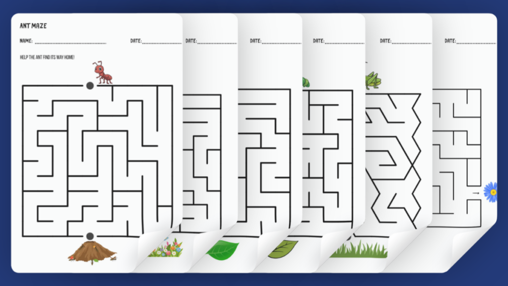 insect maze