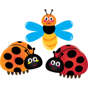 insects